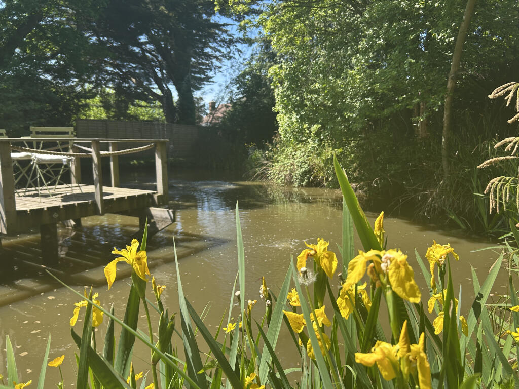 IMG_1071.jpeg