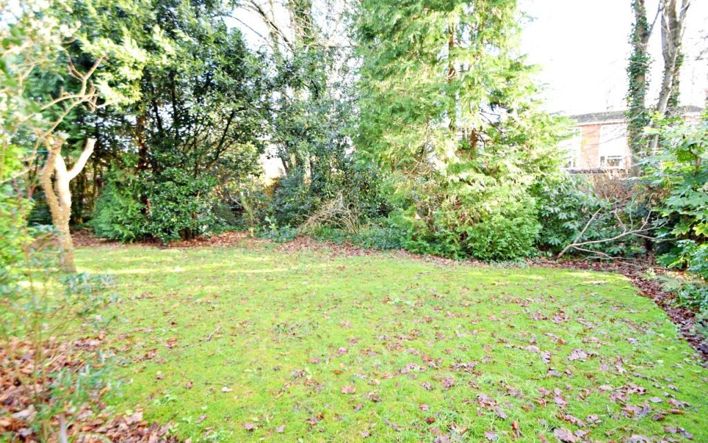 Communal Garden