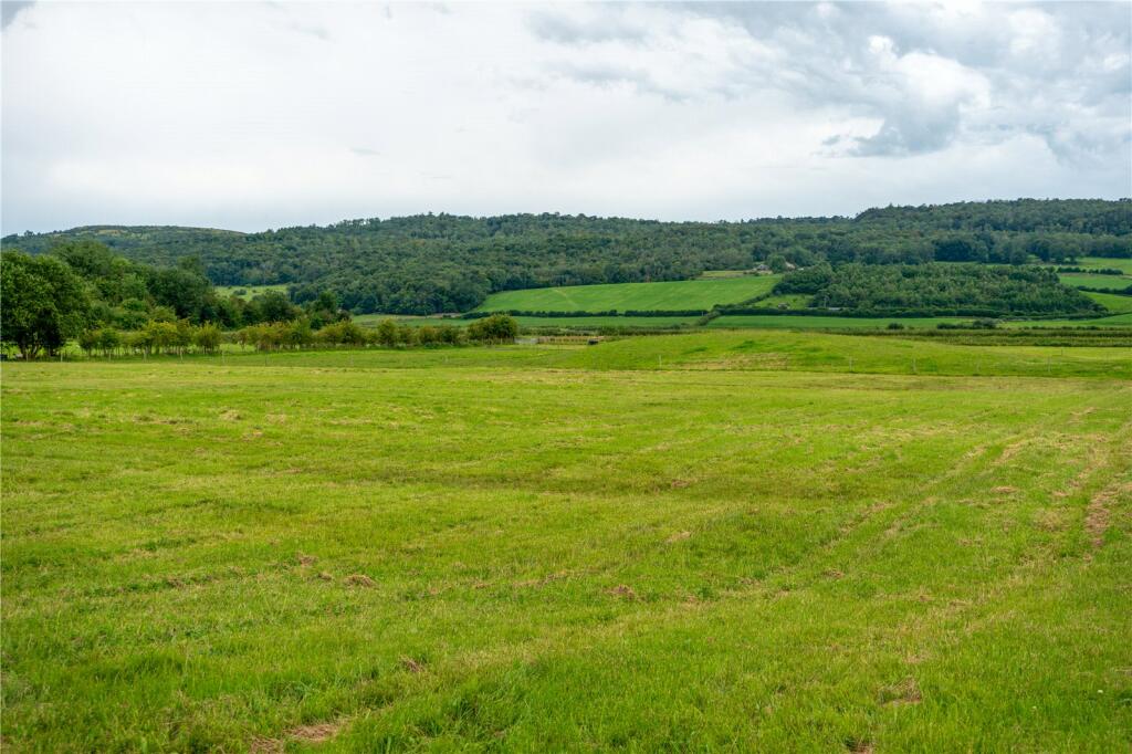 Land