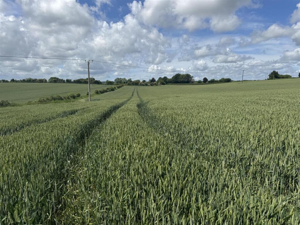 Land at Hinton Martell