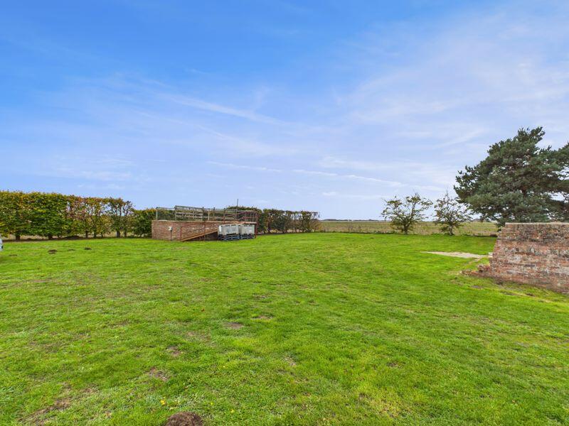 Garden &amp; Viewing Platform