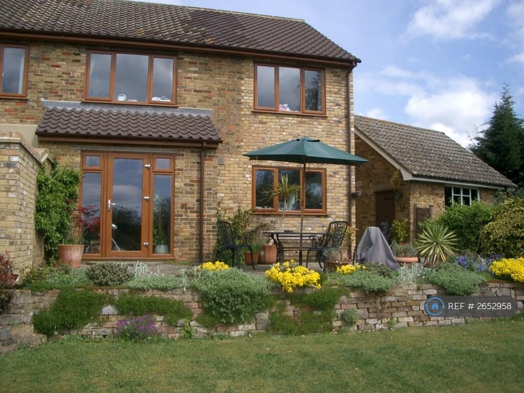 Rear Patio