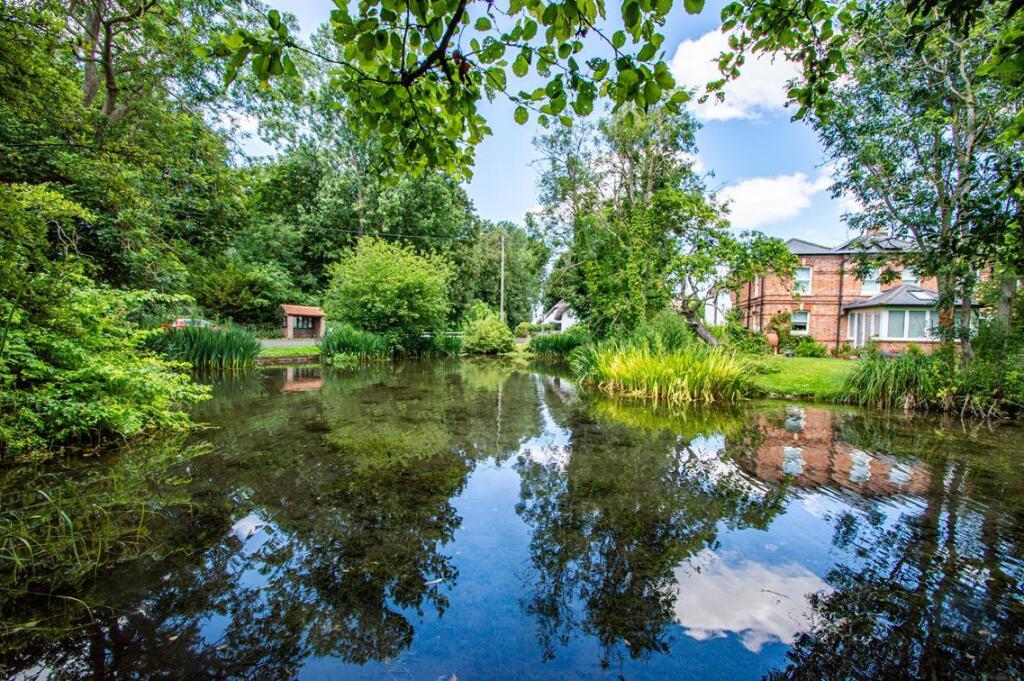 Village Pond