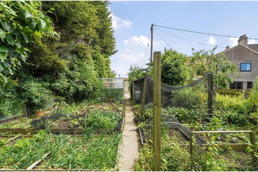 Cottage Garden