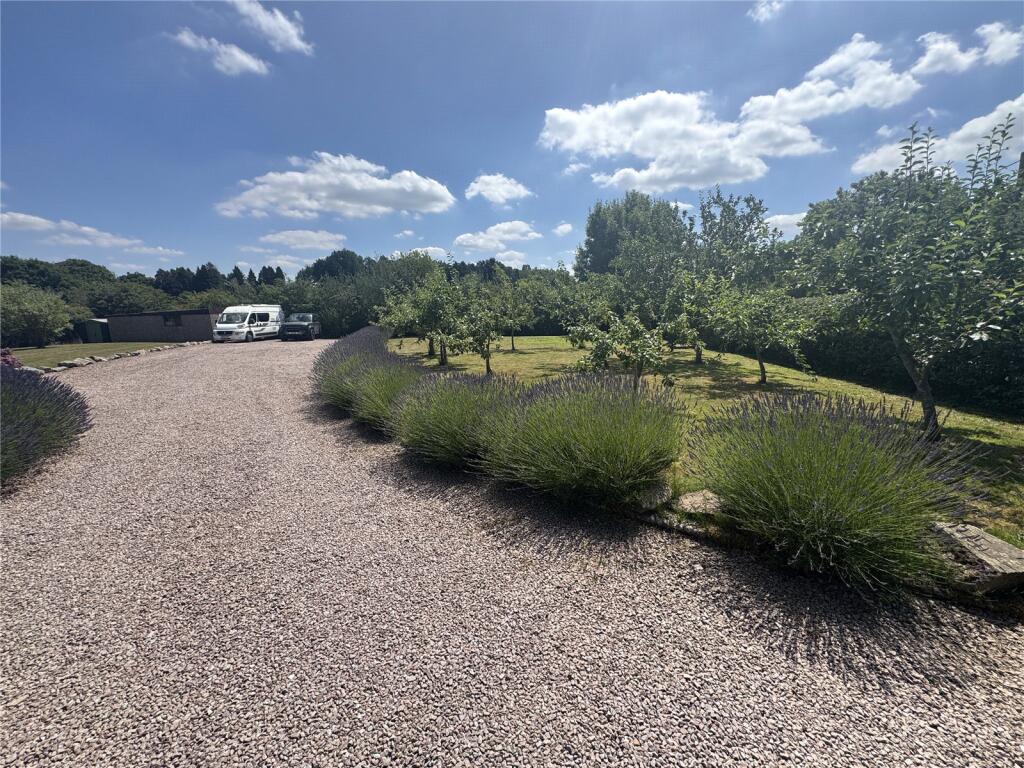 Driveway