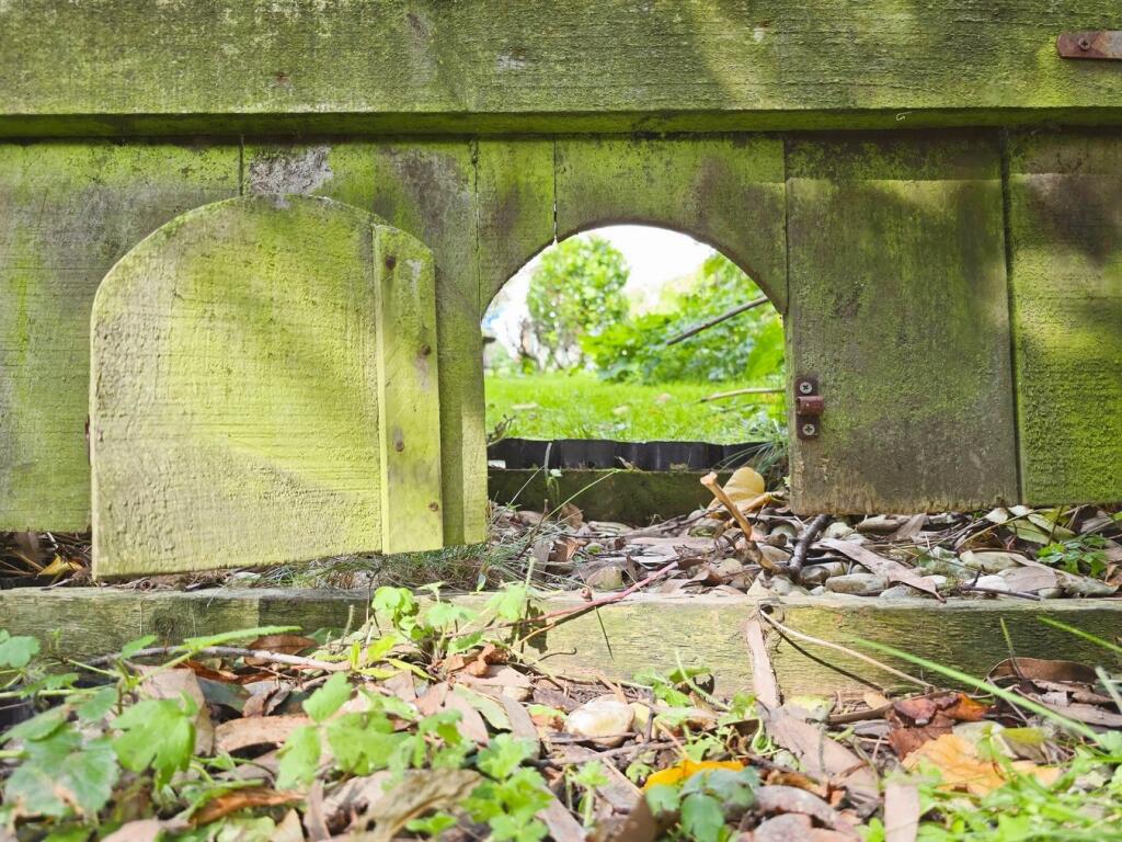 Hedgehog door