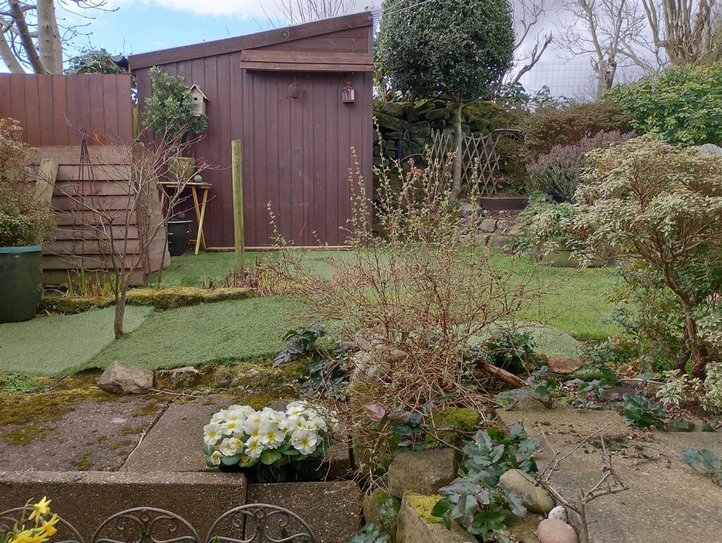 GardenPic3  moor.jpg