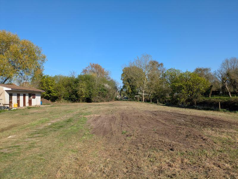 Photo 42