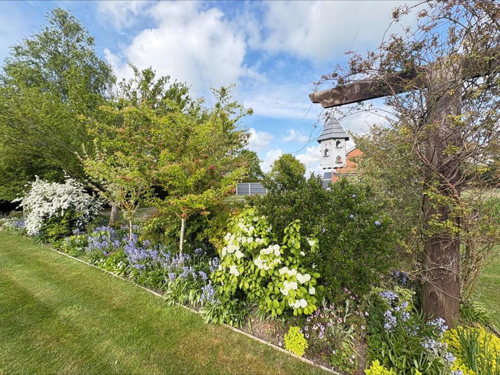 processed-48F035AB-0D54-4AE7-B7F1-806E123DC1DD.jpe