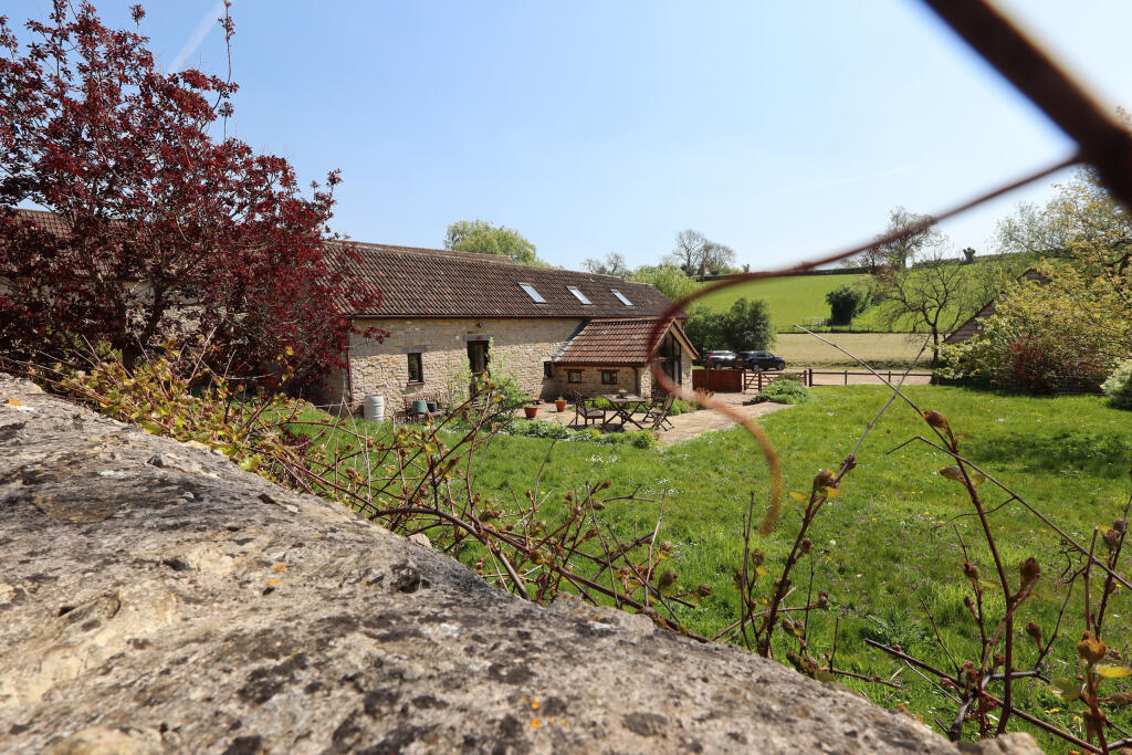 Front and garden