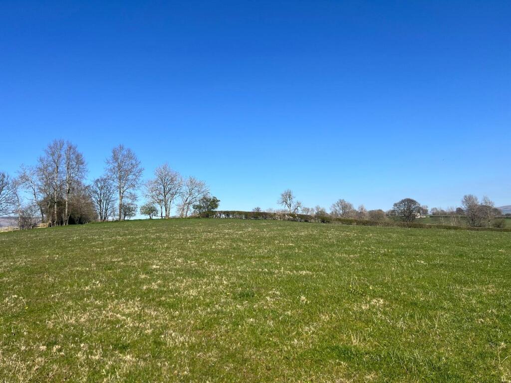 Lot 1
