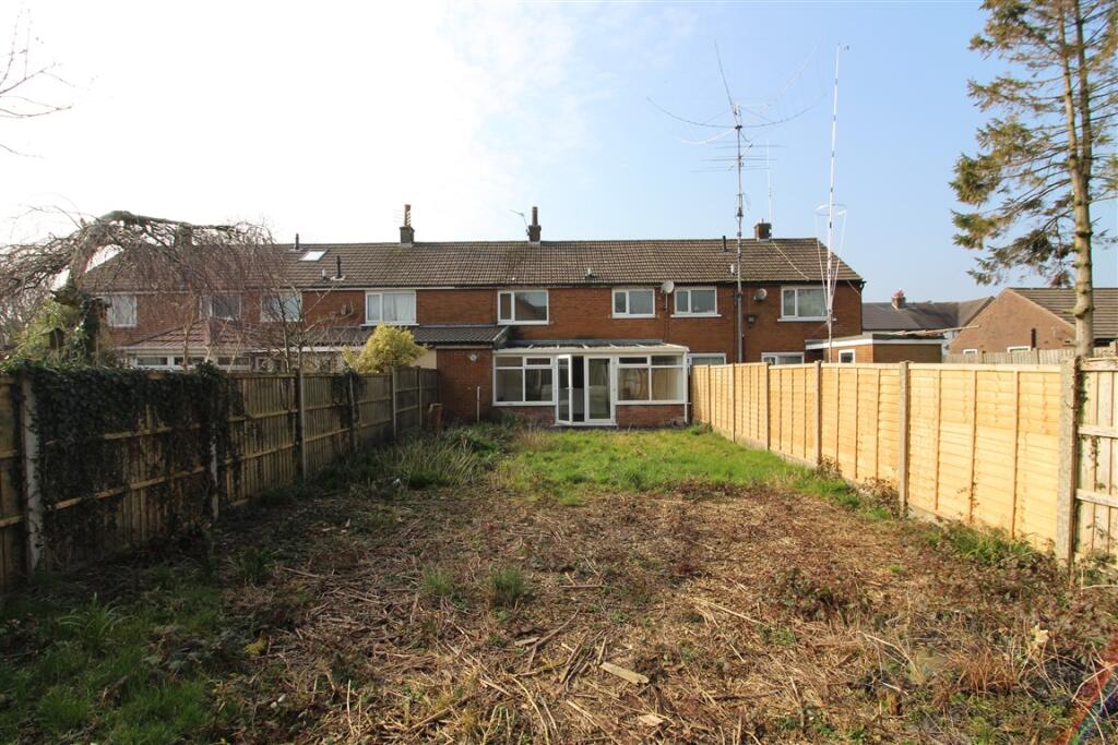 IMG 4777  Medium  T202503141450.jpg