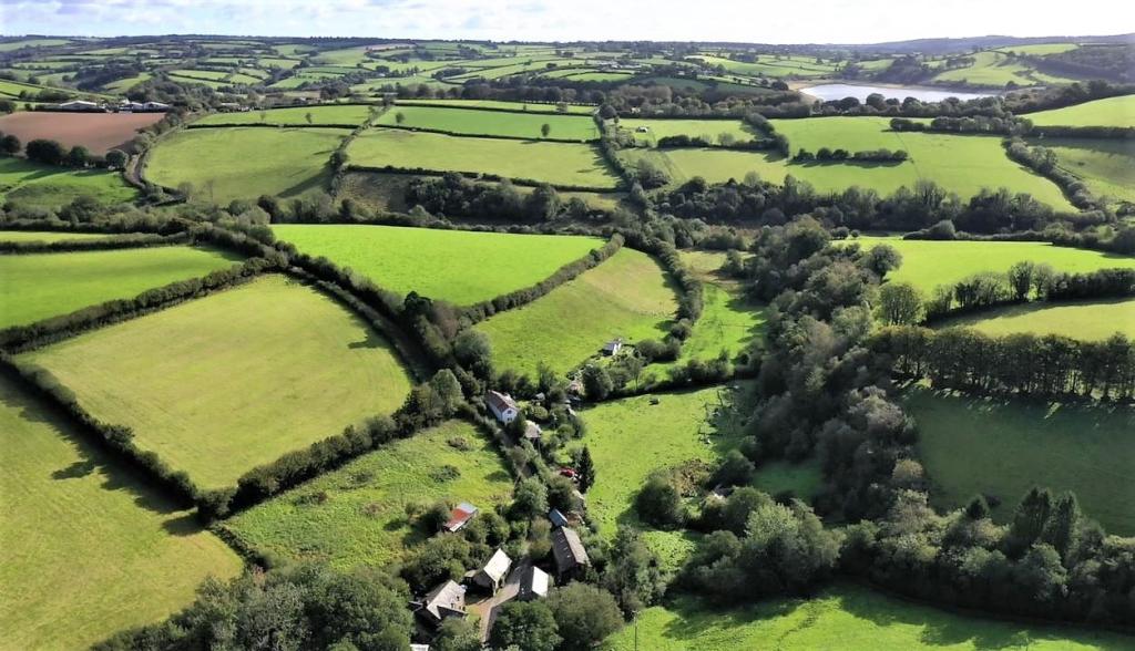 Exmoor Seddons