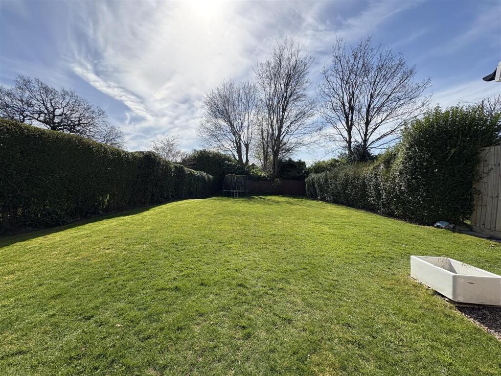 IMG_0843 (Large).jpeg