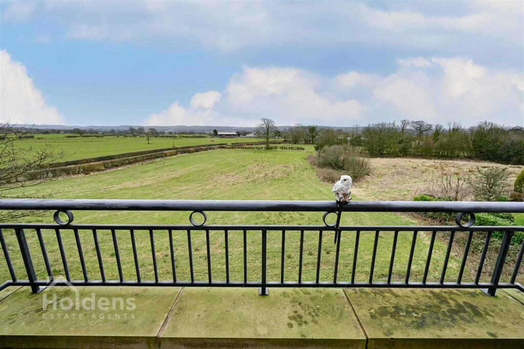 DSC_7737-Edit.jpg