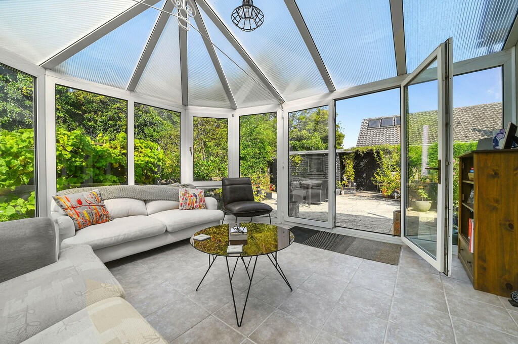 PT-DB(WP)-ShrubLo...