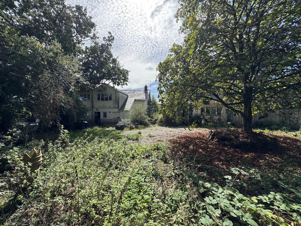 IMG 1878 T202509101640.jpeg