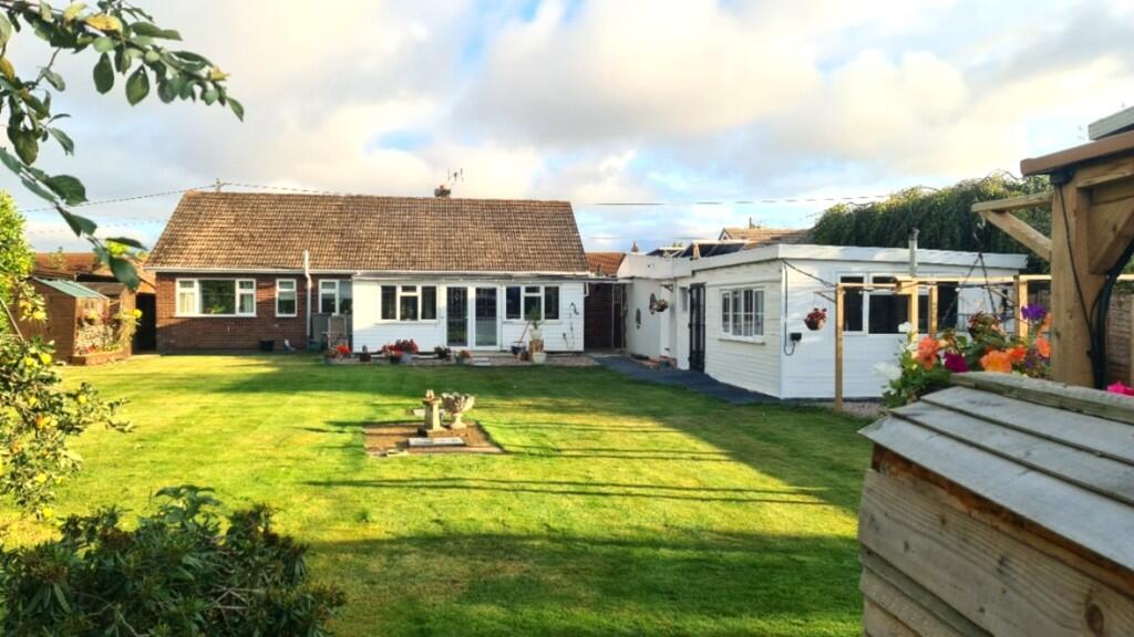 Back garden day 1...