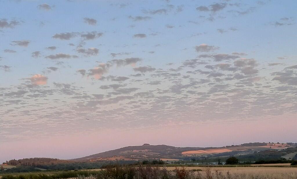 1. Mayhill from O...