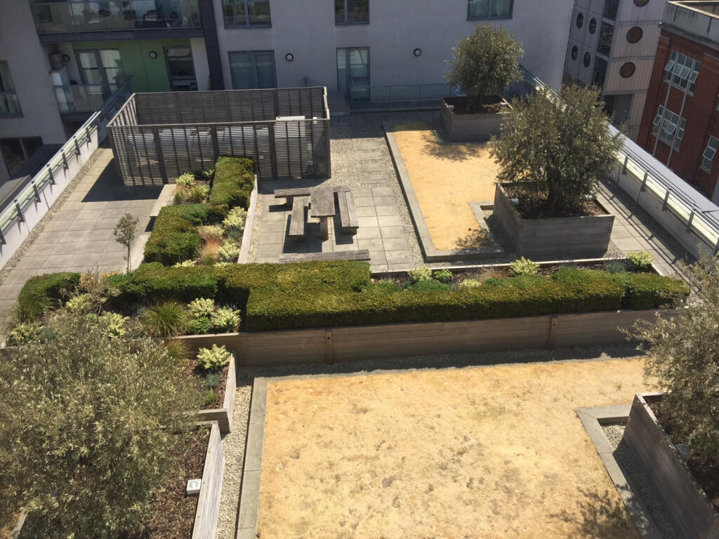 Roof top gdn