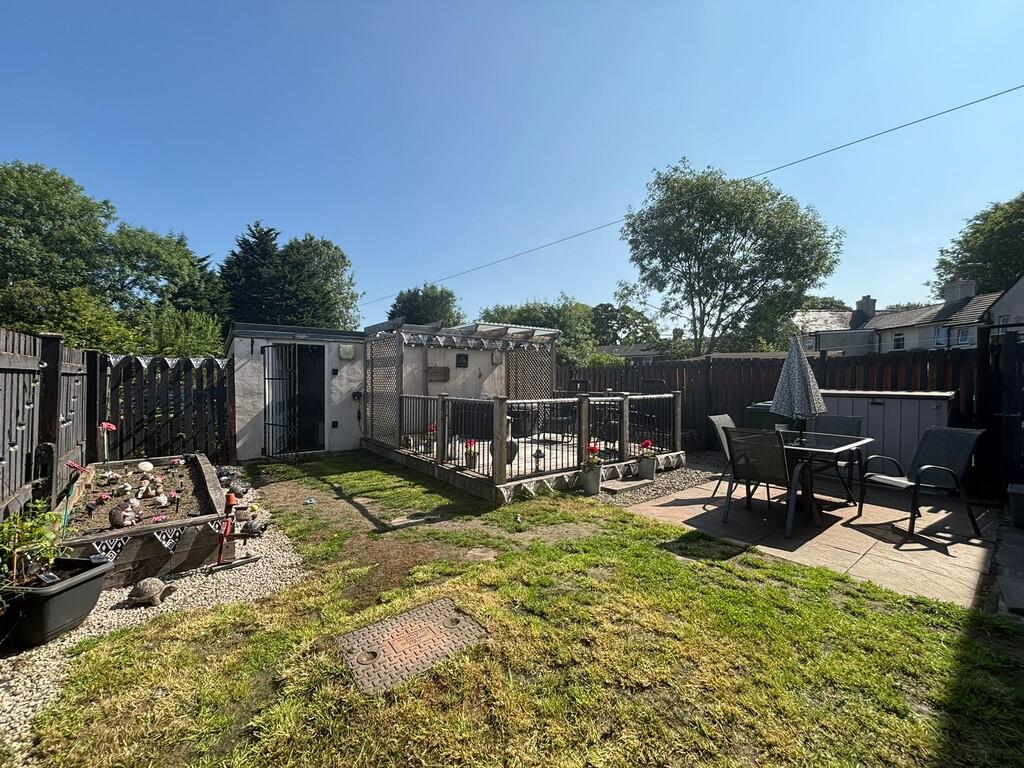 back garden 2