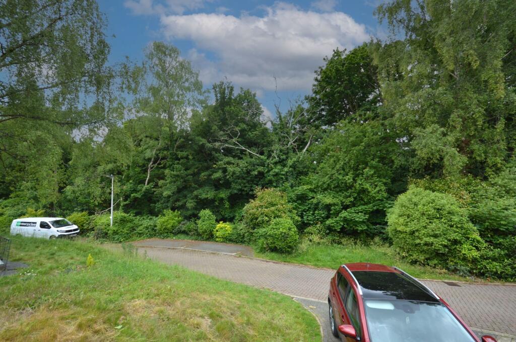 View of Woods to Rear