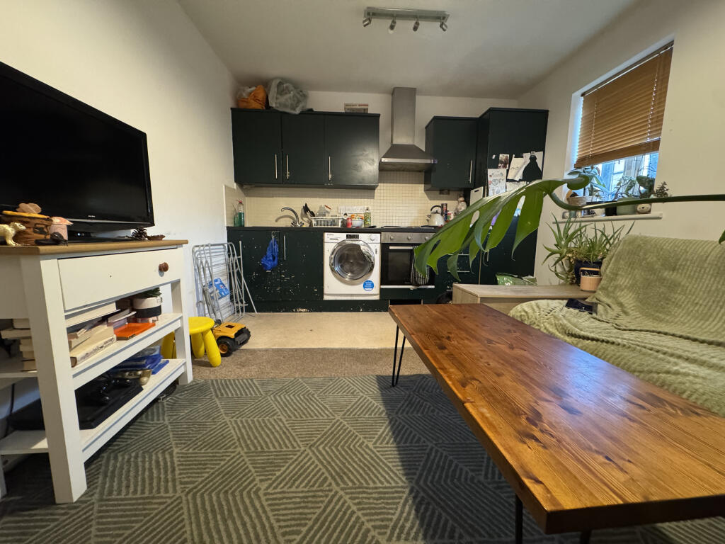 Kitchen/Living Area