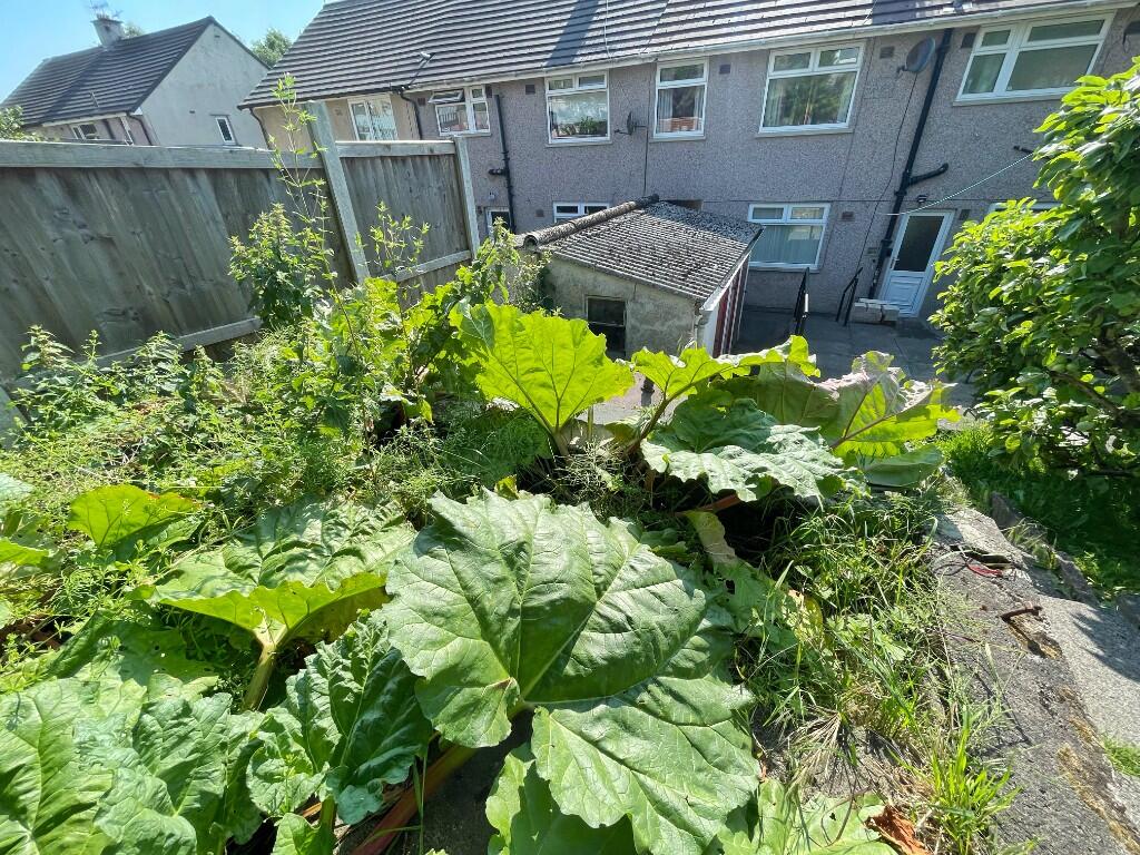 Vegetable patch