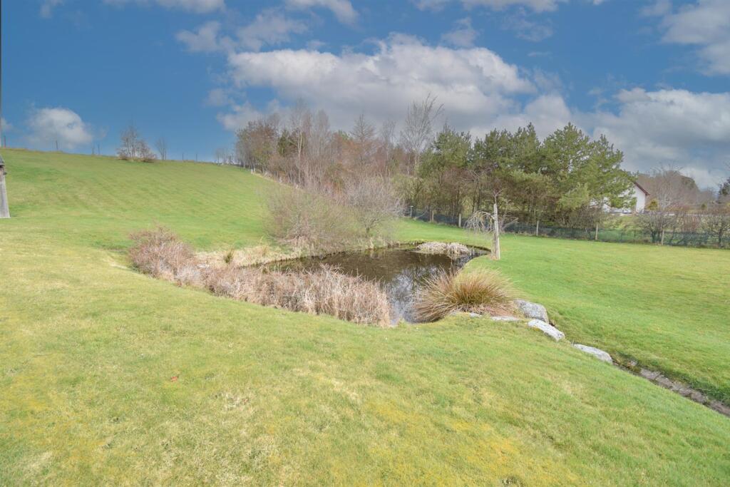POND (2)-2 EDIT.jpg