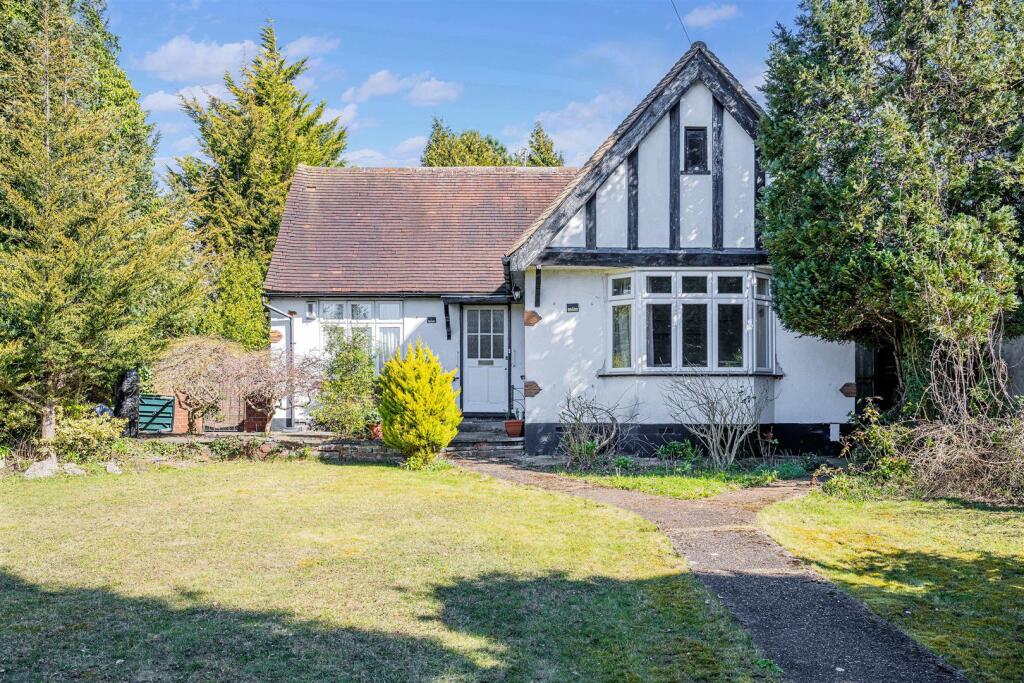 GREEN CURVE, 73 (6).jpg