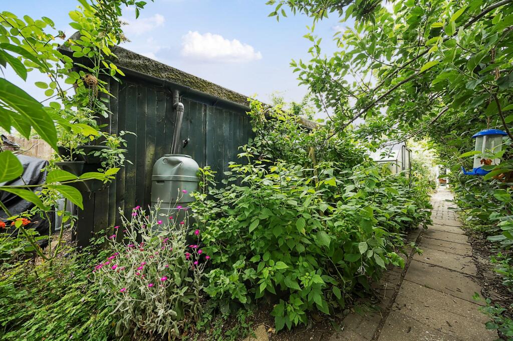 Garden (3)
