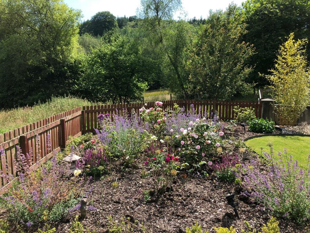 image2 (2).jpeg