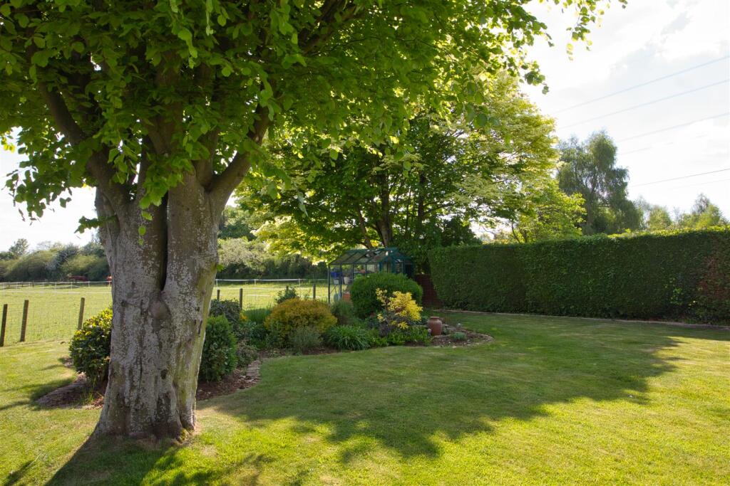 Rear garden