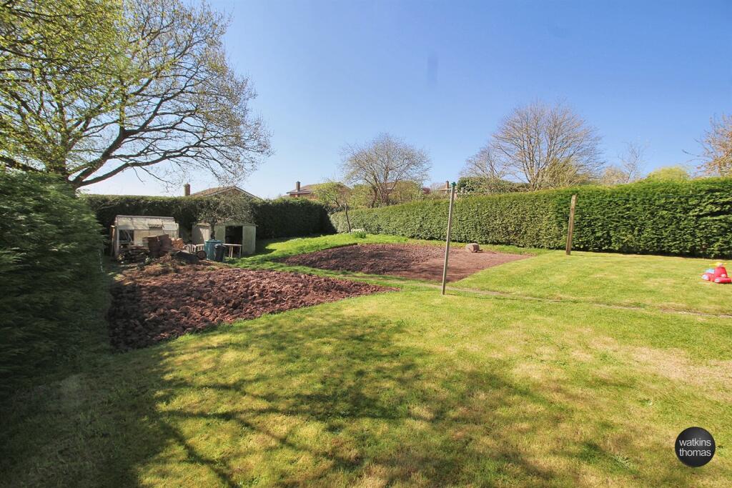 garden