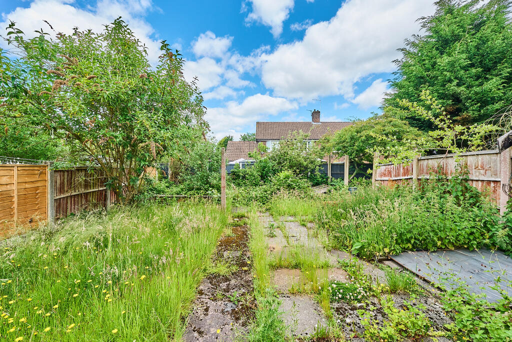 P1462842 T202506021842.jpg