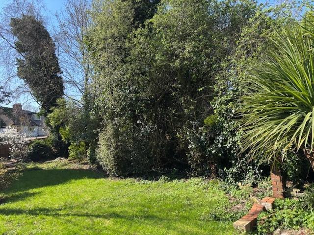 Garden 3.jpg