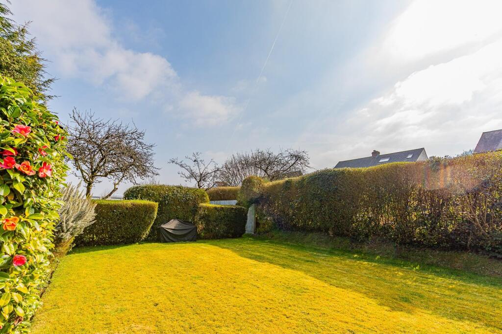 Mountain Road 11-21.jpg