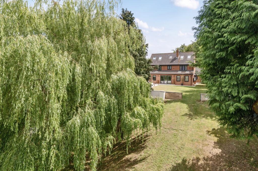 1313981-1-6859994960b47