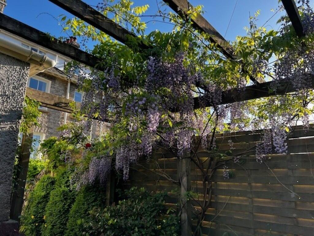 Garden (Vendor ph...