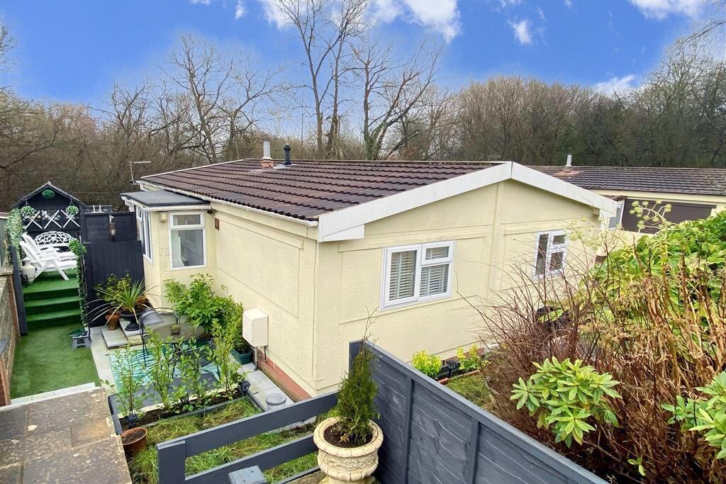 16wheat (Copy) enhanced