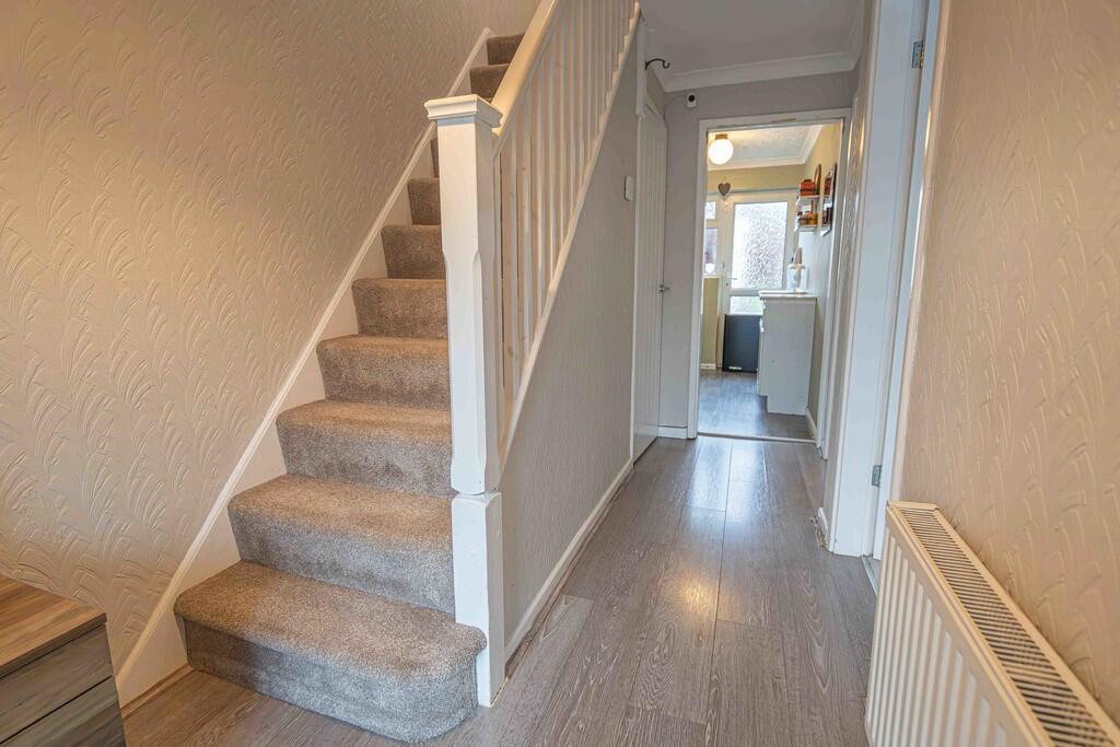 20250127-DSC02331...