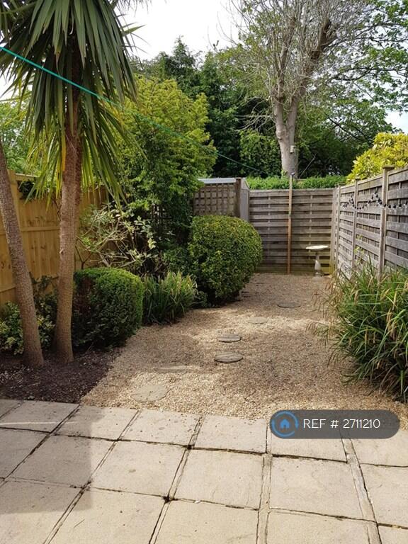Back Garden