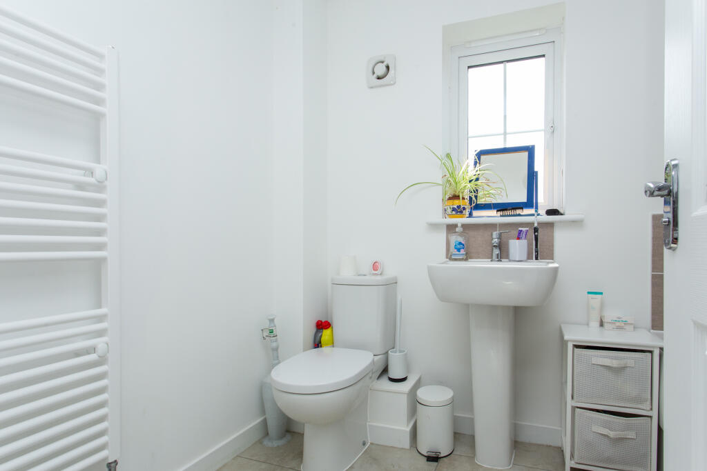 Picture 7