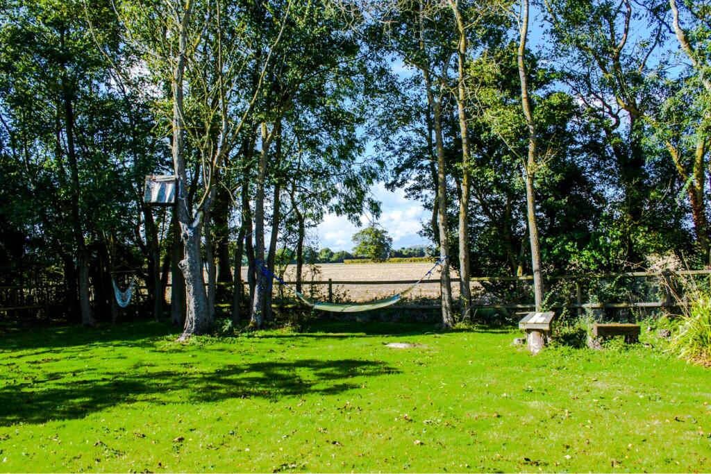 Field