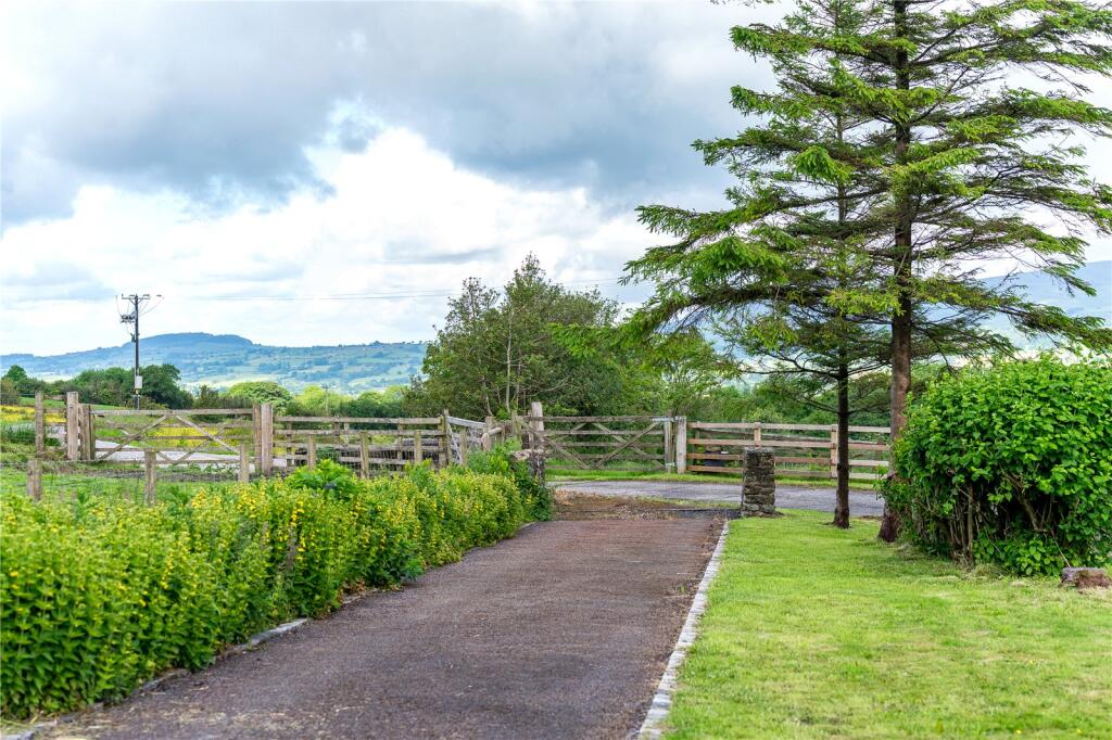 Garden &amp; Driveway