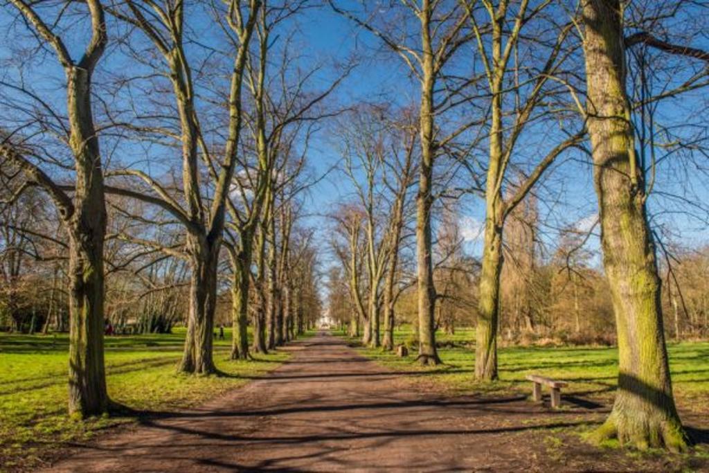 The Park