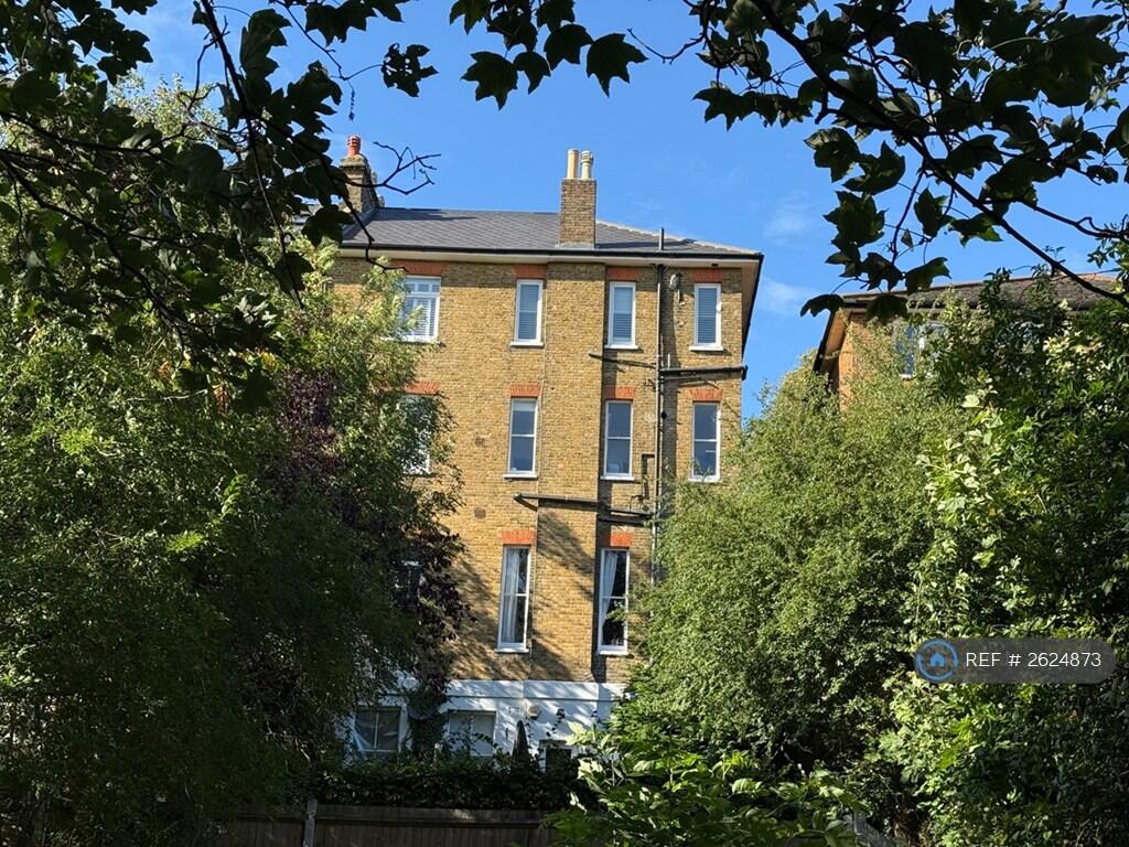 View From The Back 