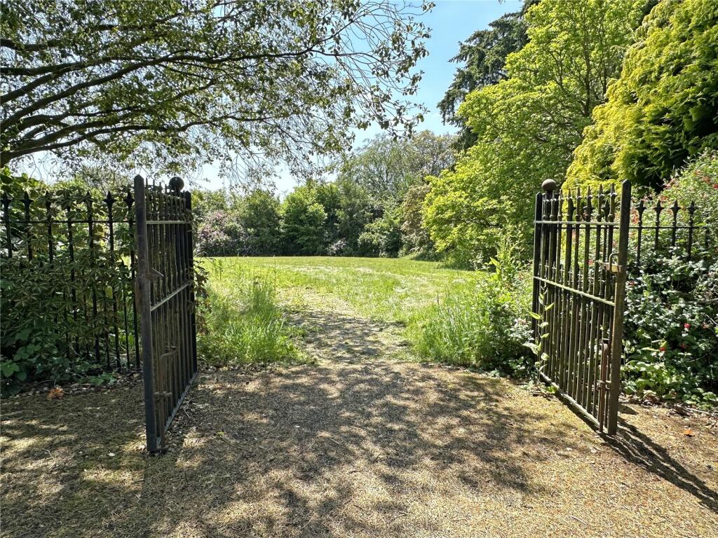 View To Garden