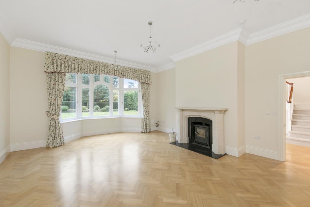 Little-Bassett.-Gran