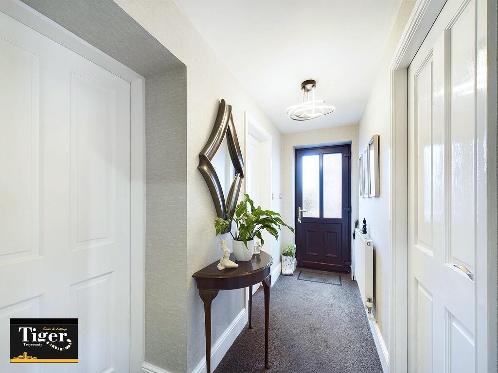 CAM02176G0-PR0484...